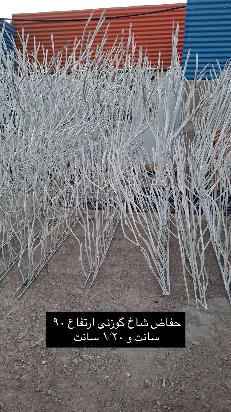 حفاظ شاخ گوزنی